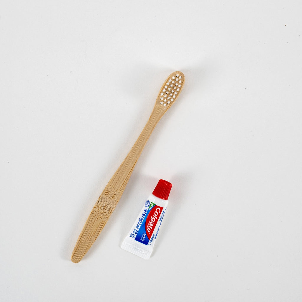 Bamboo Dental Kit